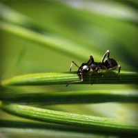 /album/stor-perde/photolia-a05-jpg/