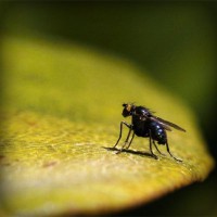 /album/stor-perde/photolia-a07-jpg/